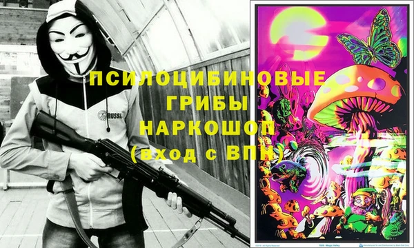 марки lsd Новозыбков
