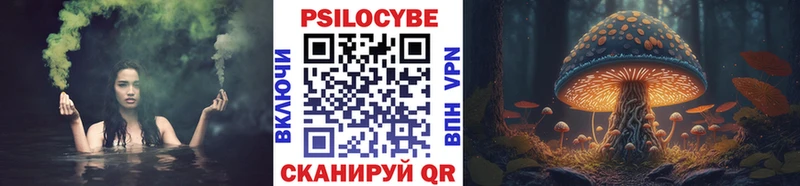 Галлюциногенные грибы Psilocybine cubensis  darknet какой сайт  Пошехонье  hydra маркетплейс 