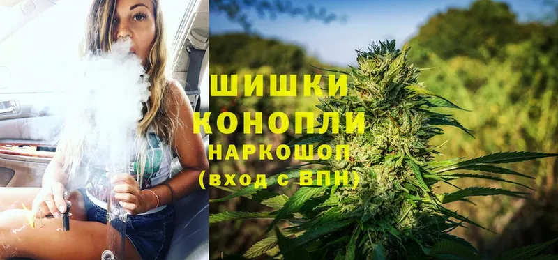 где купить наркоту  Пошехонье  Каннабис LSD WEED 